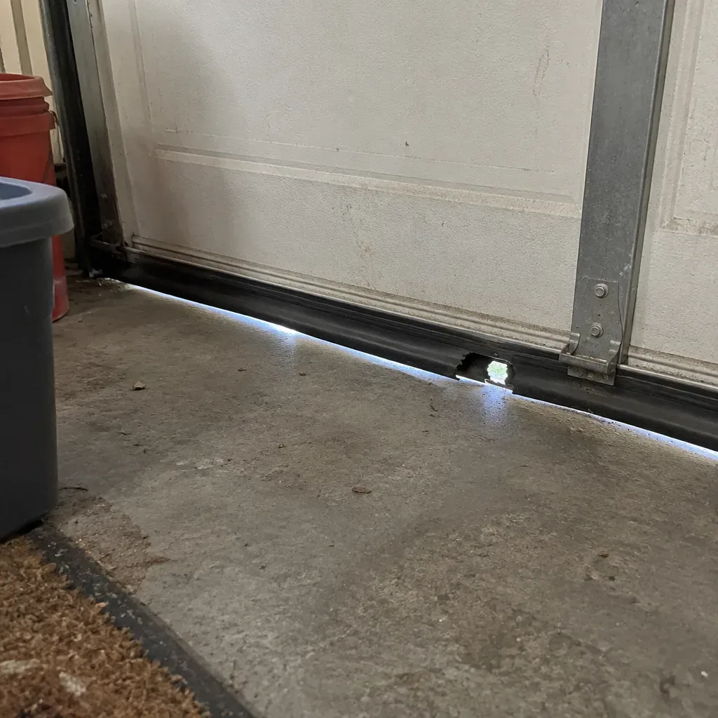 Rodent control methods in Waterbury, CT